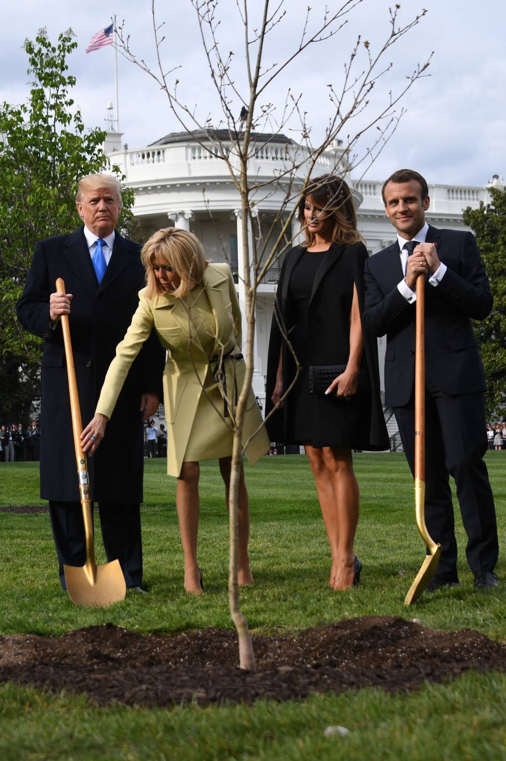 Alla Casa Bianca è sparito l'albero piantato da Trump e Macron
