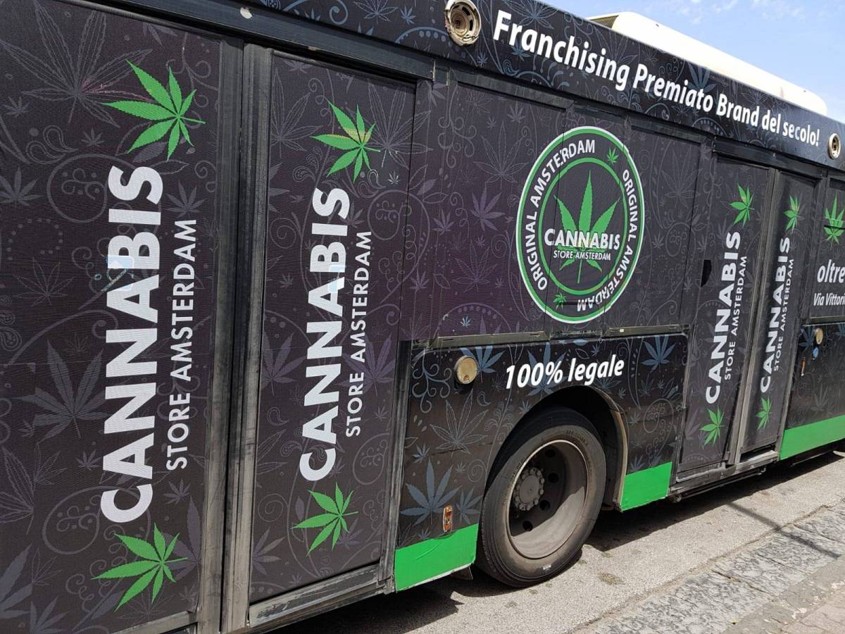 Ischia, il bus degli studenti pubblicizza la cannabis: è polemica