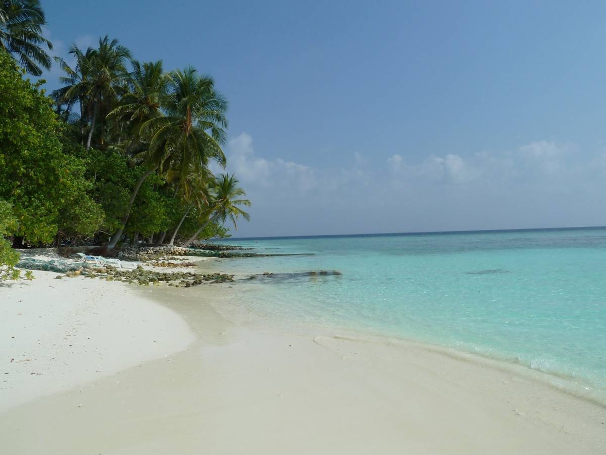 In vendita un'isola caraibica da sogno: ecco quanto costa