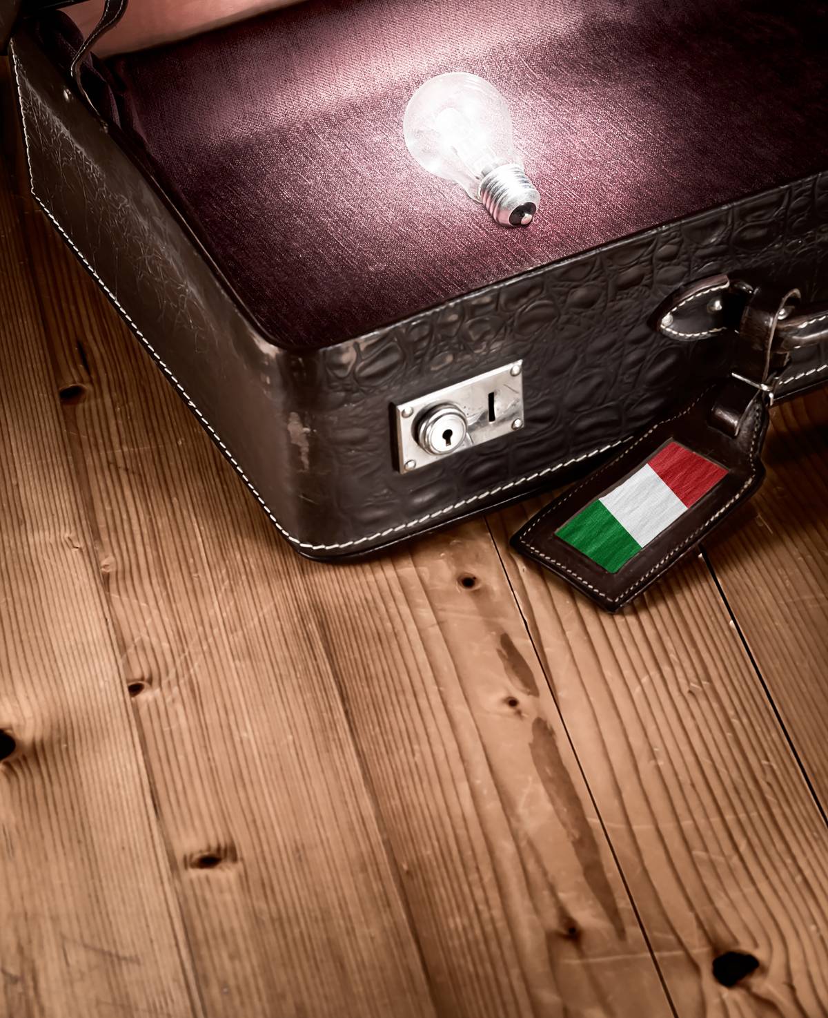 L'Italia si riprende i laureati "rubati" che dicono addio a Francia e Germania