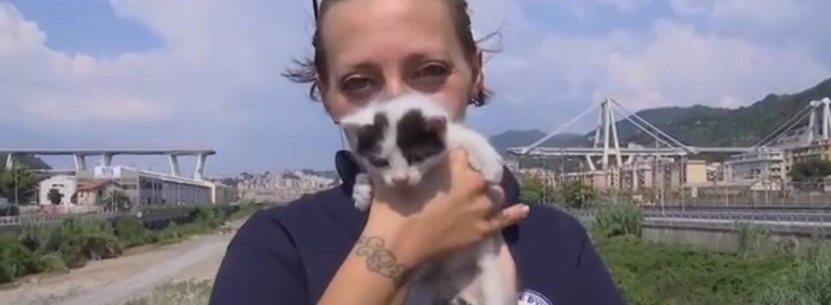 Miracolo sotto ponte Morandi: salvati dalle macerie due gattini