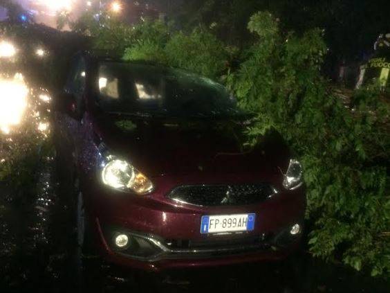 Maltempo a Ostia: alberi sulle auto