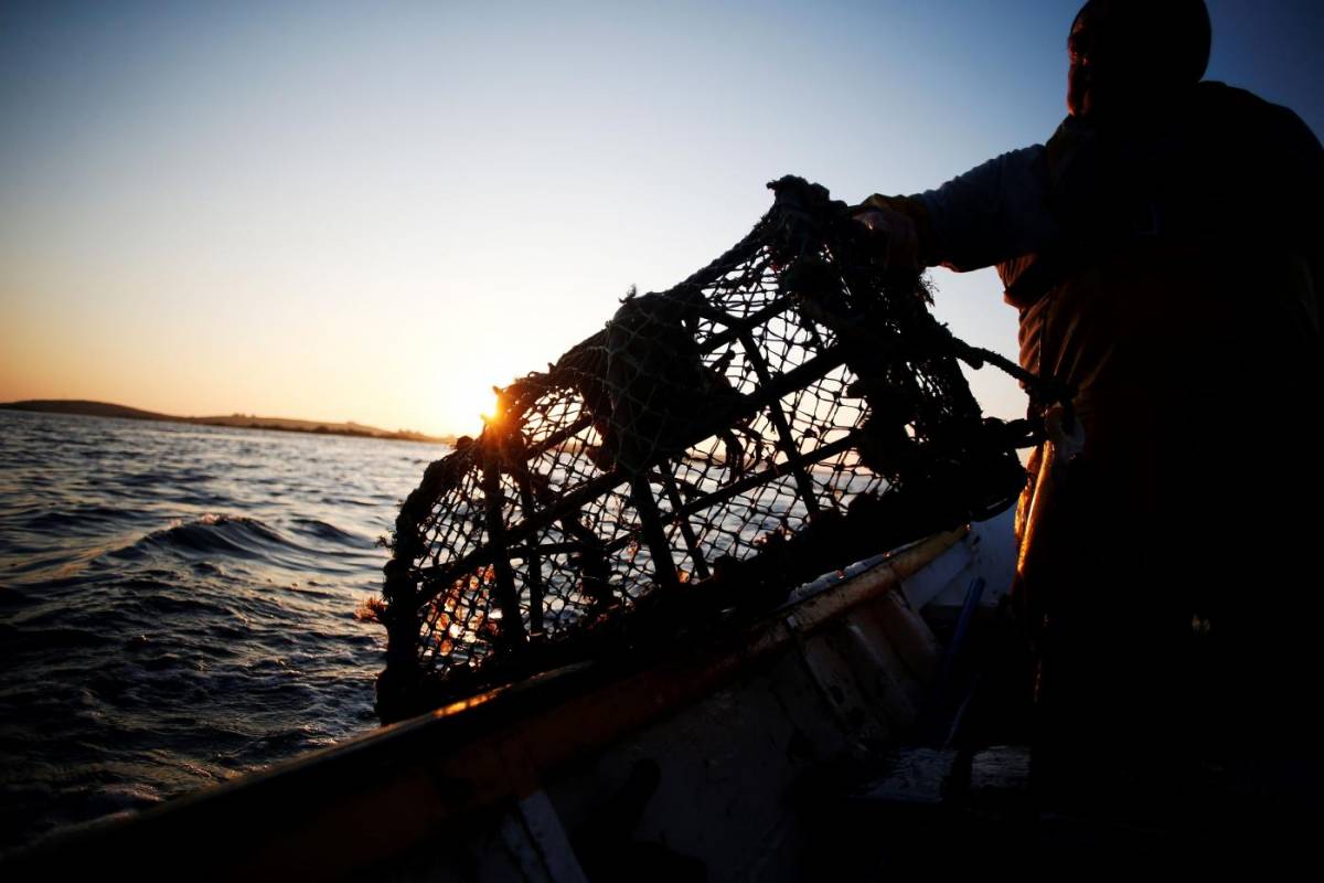 Il governo prende all'amo gli italiani: arriva la tassa da cento euro sulla pesca