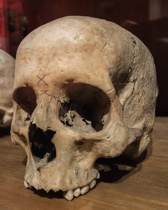 Forse è di Plinio il Vecchio il cranio scoperto sulla spiaggia di Ercolano