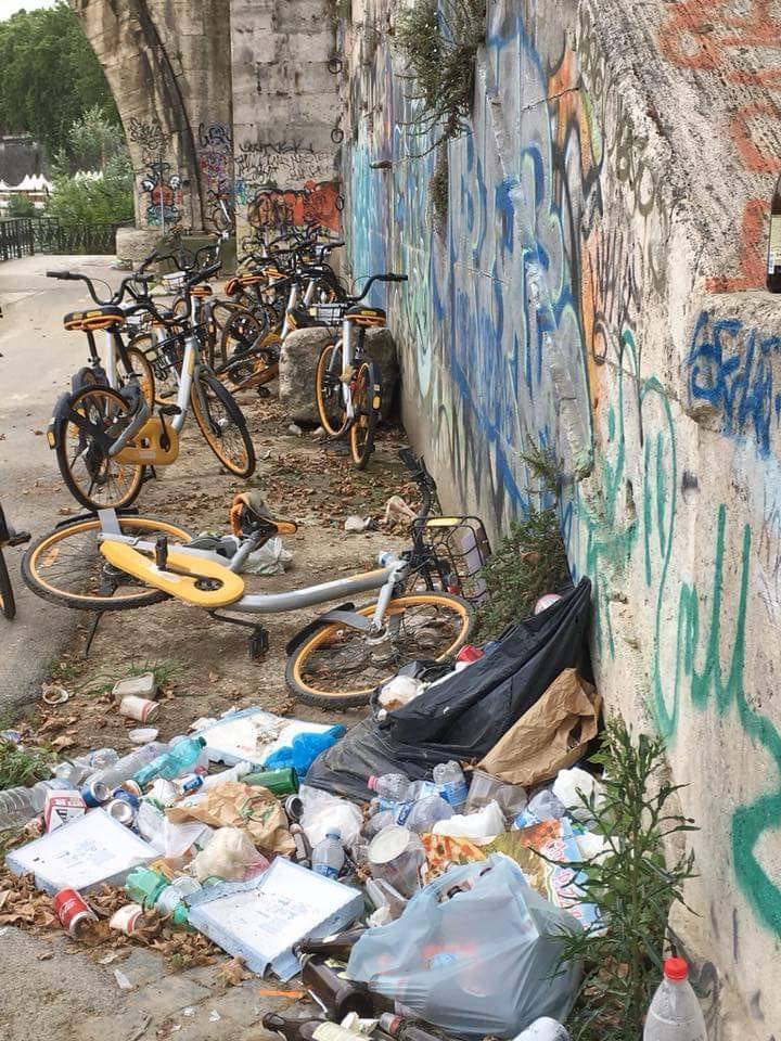 L'ultima moda dei vandali: portarsi a casa il sellino delle bici del Comune