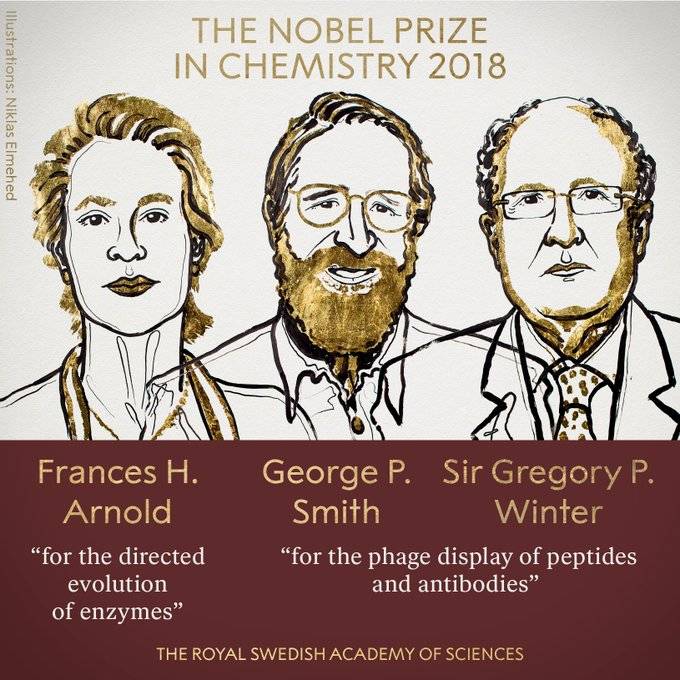 Il Nobel per la Chimica a un trio di scienziati per studi sulle proteine