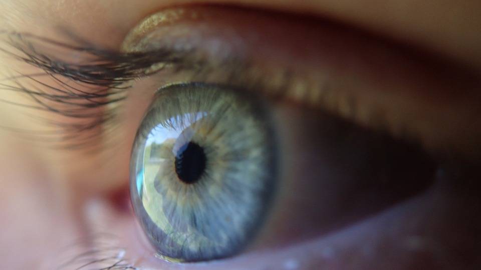 Giornata mondiale della vista: prevenzione della miopia in tutta Italia