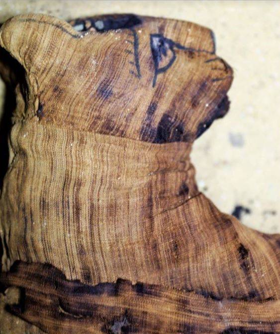 Ecco i gatti di 6mila anni fa (ma sono mummie)