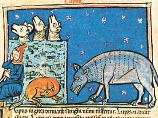 Dall'eresia al sangue, la storia del lupo come totem culturale