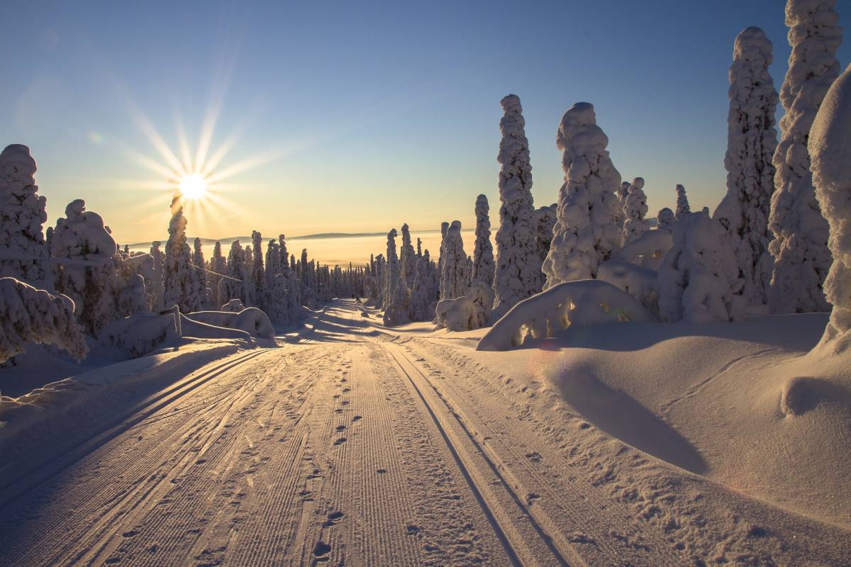 Non nevica in Lapponia da Babbo Natale, cancellati i viaggi turistici