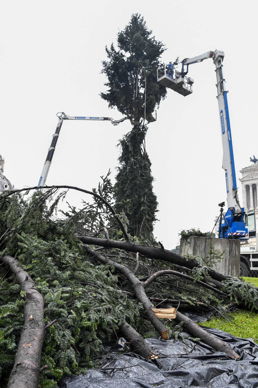 Da Spelacchio a "Spezzacchio", l'albero di Natale a Roma con i rami spezzati