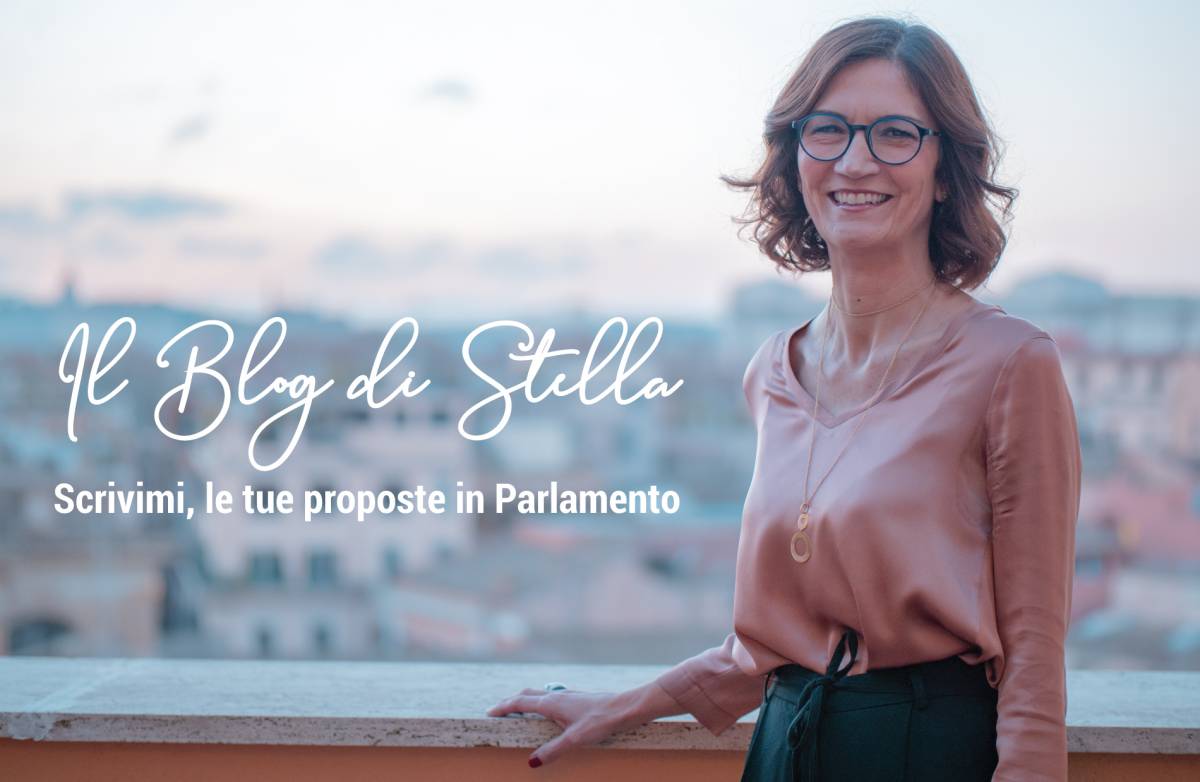 Gelmini lancia il "Blog di Stella", uno spazio per scrivere le leggi insieme ai cittadini