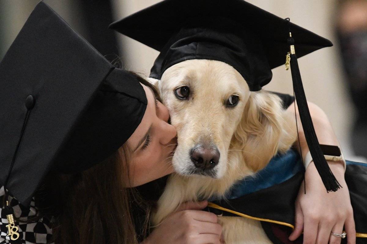 Griffin, il primo cane che ha ottenuto una laurea