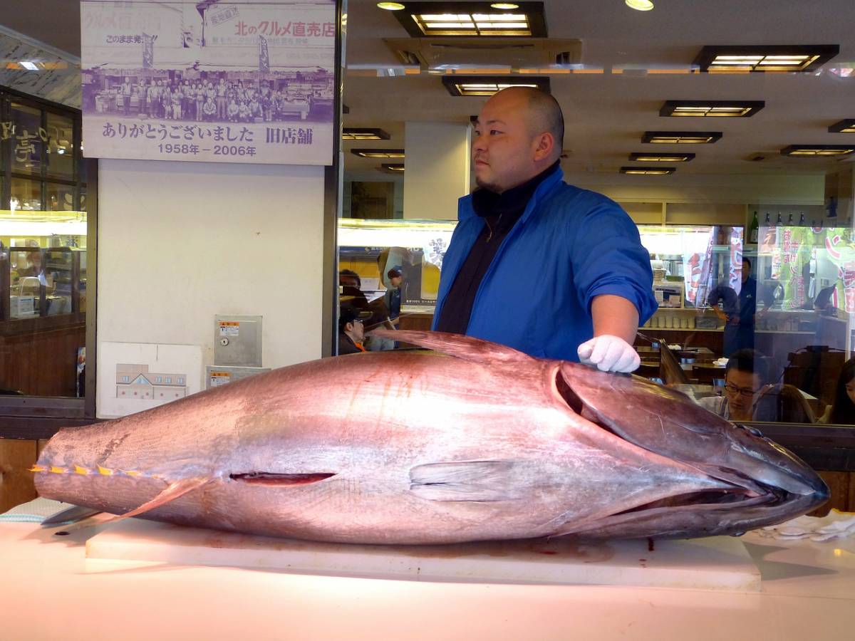 Giappone: 2,7 milioni di euro per un tonno