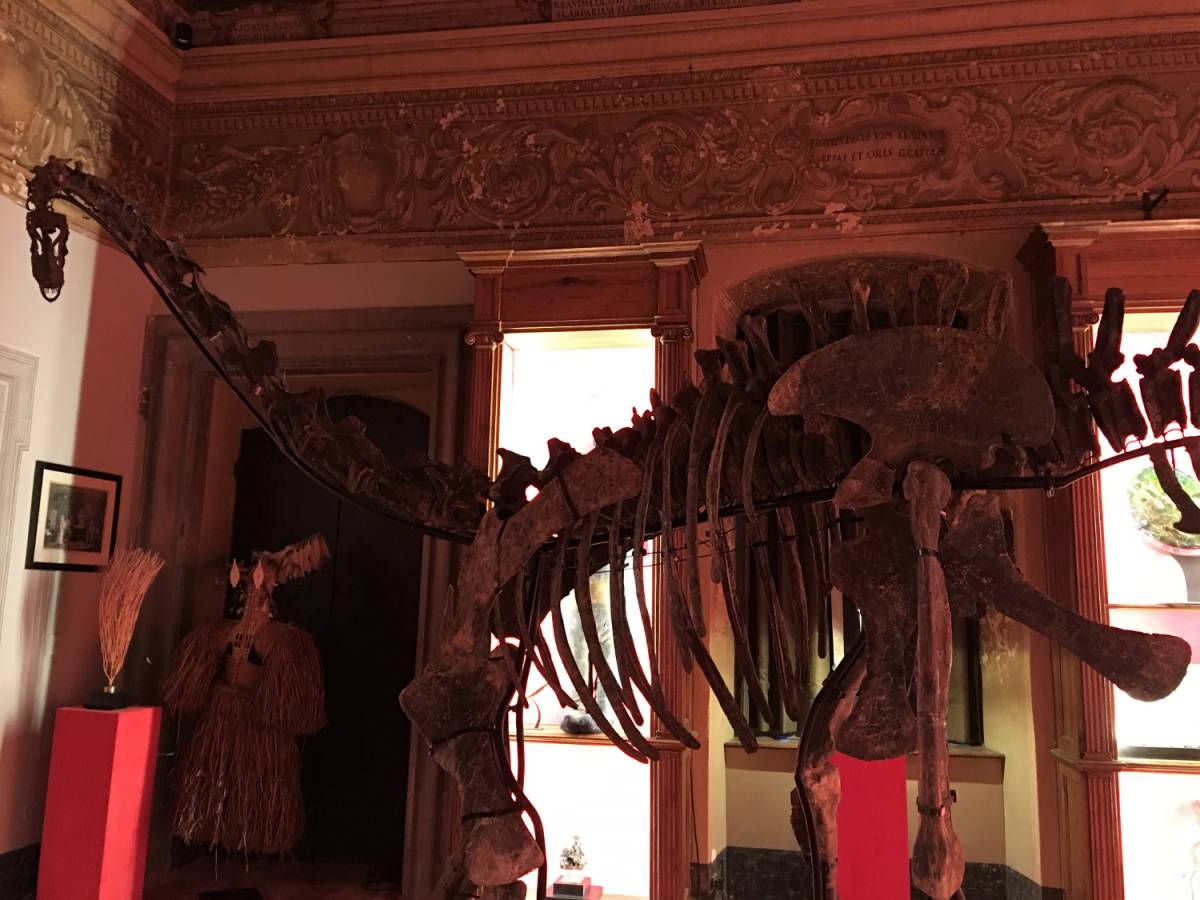 Il mercante di dinosauri: nel suo "portafoglio" c'è T-Rex