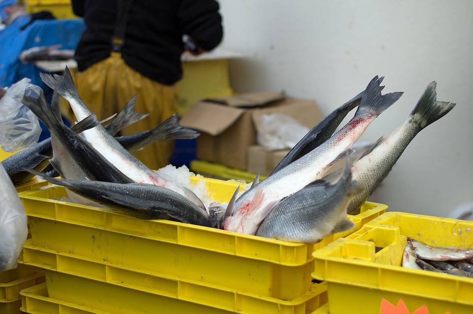 Pozzuoli: sequestrati 50 chili di pesce avariato venduto per strada