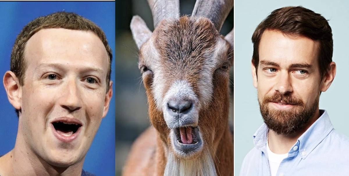 Zuckerberg dà una capra per cena al fondatore di Twitter