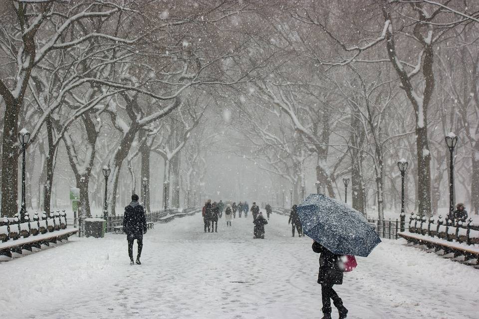 Freddo record Usa, 21 morti: New York e Chicago nella morsa del gelo