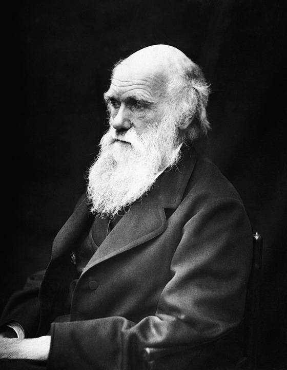 Darwin Day: oggi il mondo celebra il padre della teoria dell'evoluzione