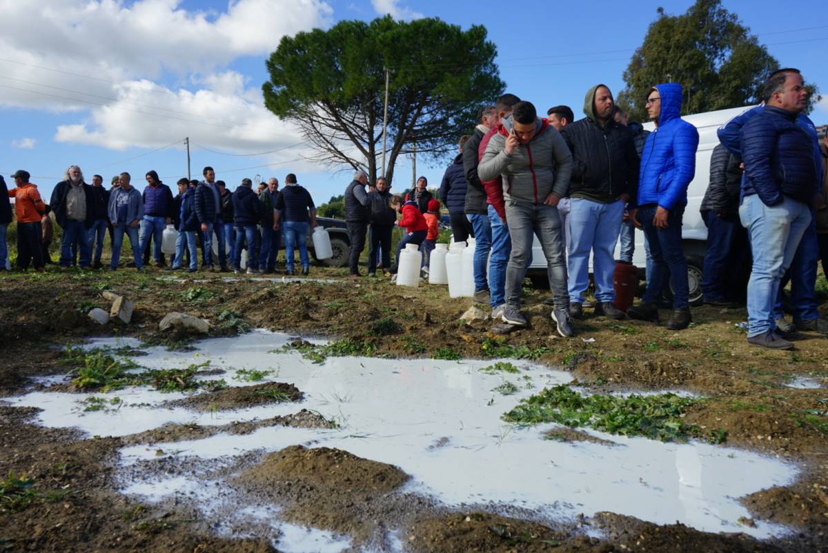La protesta dei pastori arriva in Sicilia, sversati tremila litri di latte