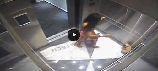 Usa, ragazza massacra il suo cane in ascensore: il video choc