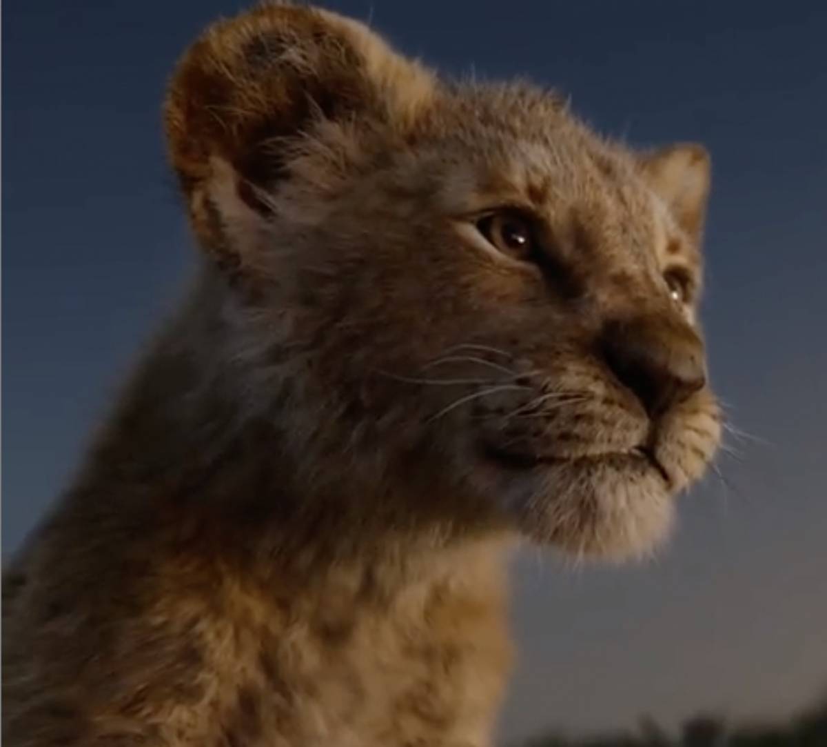 Nuovo trailer per il Re Leone 2 ilGiornale.it Nuovo trailer per il Re Leone 2 ilGiornale.it