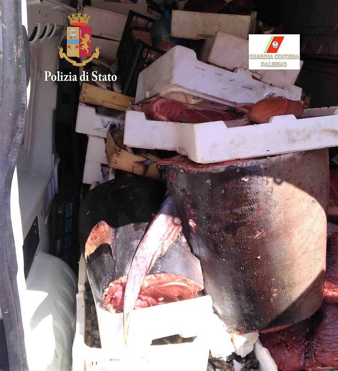 Il sequestro di tonno al mercato di Ballarò da parte della Polizia e della Guardia Costiera di Palermo 