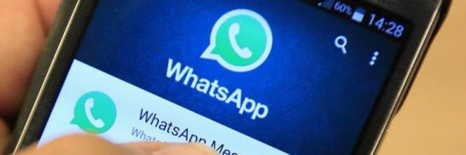 Whatsapp, falla nel sistema: con le Gif necessario aggiornare app