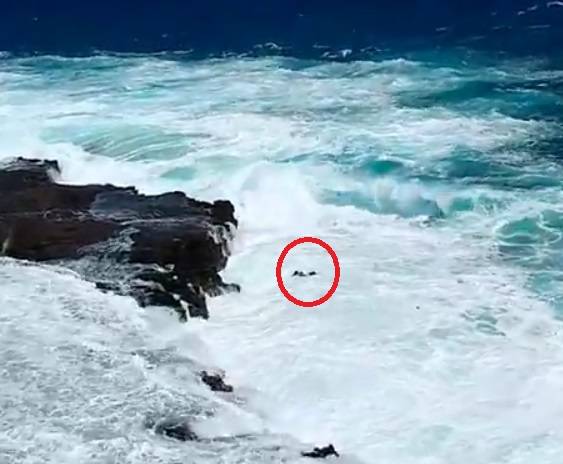 Volevano il selfie perfetto ma il mare li travolge: in salvo coppia di turisti