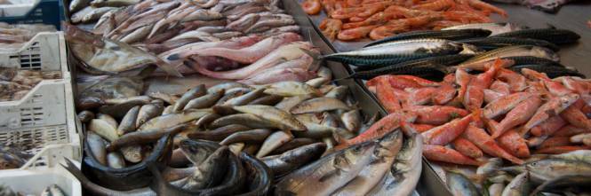 Tumore del colon-retto: i rischi calano mangiando pesce