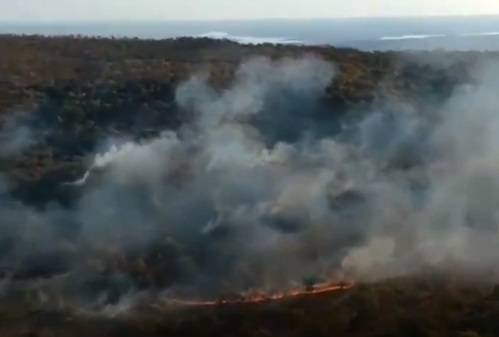 Amazzonia è in fiamme: la foresta brucia da giorni