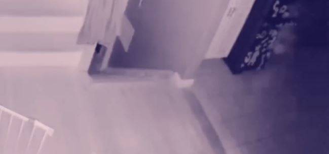 Usa, filma presunto fantasma in casa e chiede aiuto al web: “Di cosa si tratta?”