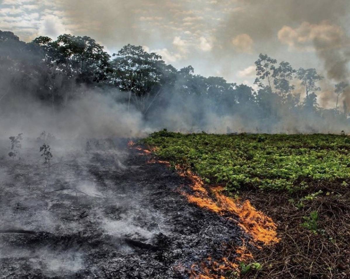 Le foto più virali sull'Amazzonia? Un fake. (E ci è cascato anche Macron)