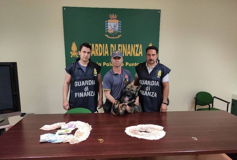 Il cane Goro che trova i soldi: scovati 160mila euro pronti a lasciare l'Italia
