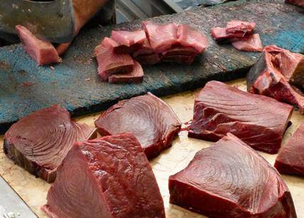 Trapani, turista milanese mangia tonno in un ristorante di San Vito Lo Capo e viene colta da malore