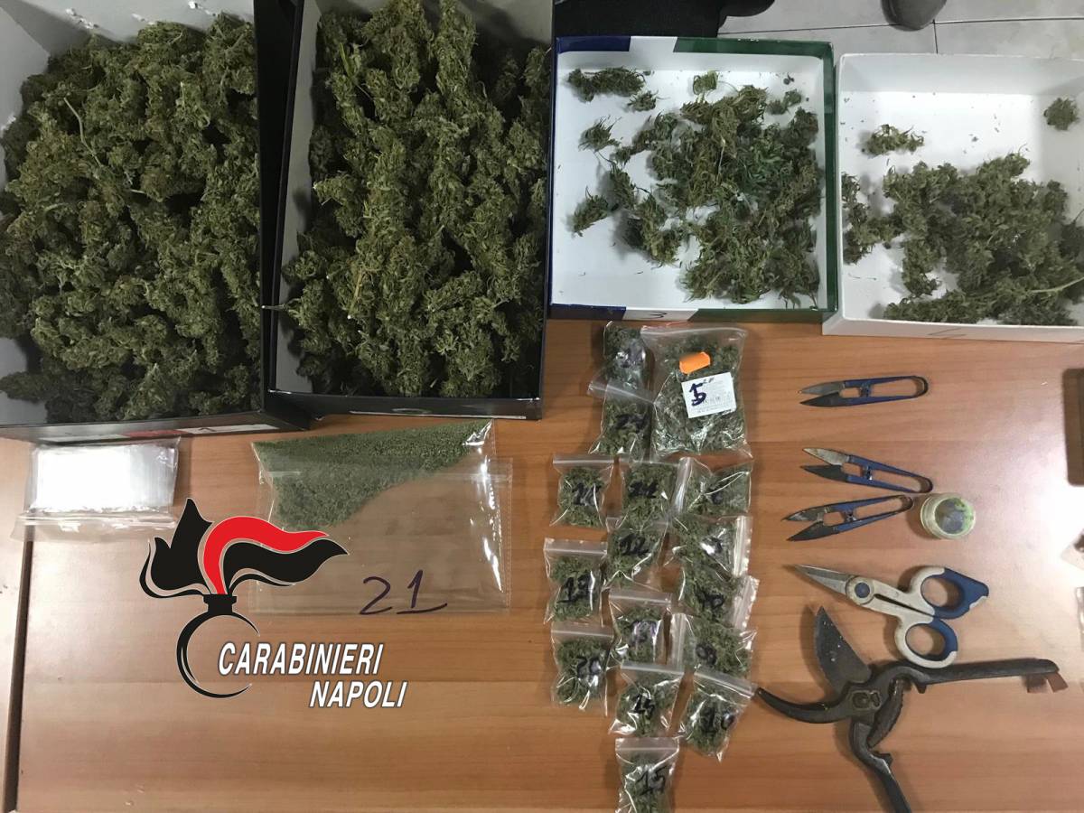 Otto chili di marijuana nascosti in casa, due arresti 