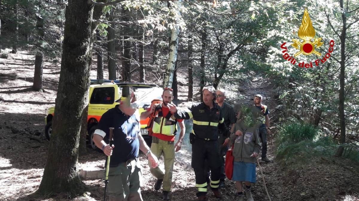 Varese, 87enne si perde nel bosco: ritrovata dopo un'ora di ricerche