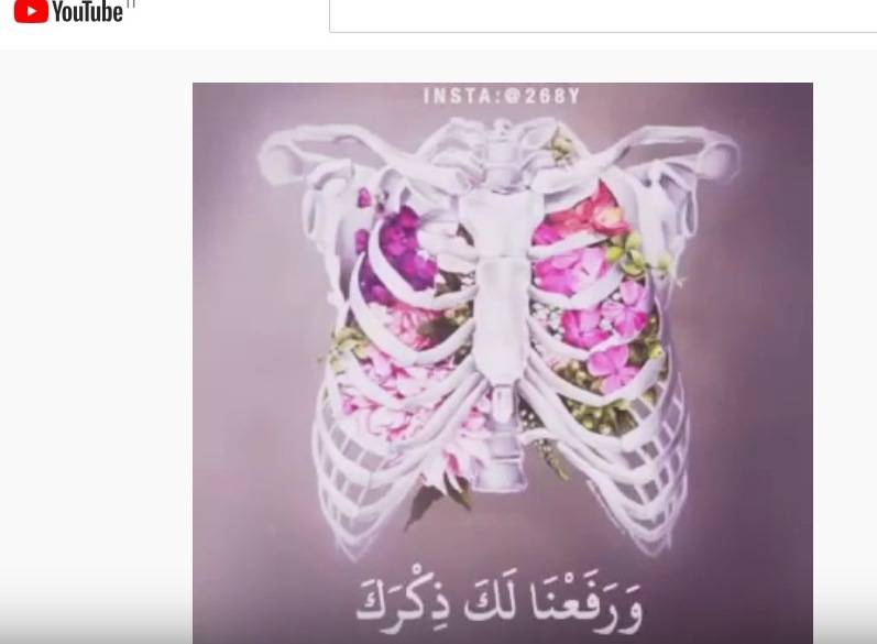 Stato islamico, come funziona la propaganda su Instagram