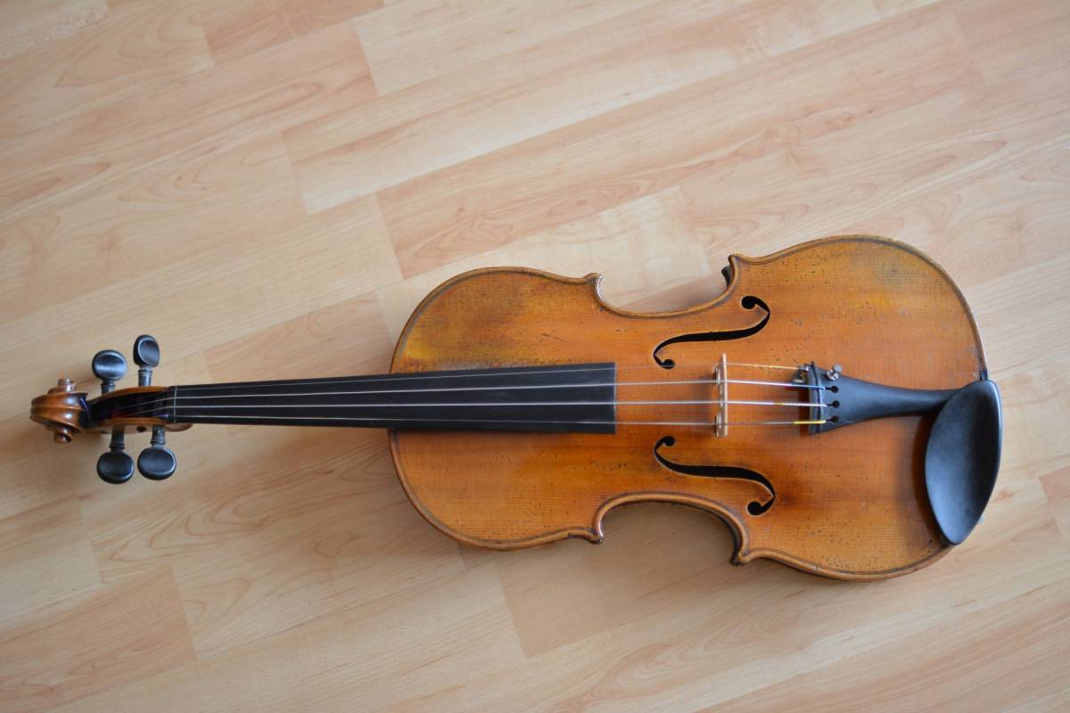 Al Museo del violino un memorial per Stradivari