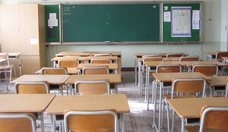 Benevento, topi in classe: il sindaco chiude la scuola per una settimana
