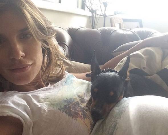 Elisabetta Canalis in pena per il suo ​cane, chiede aiuto ai fan per curarlo 