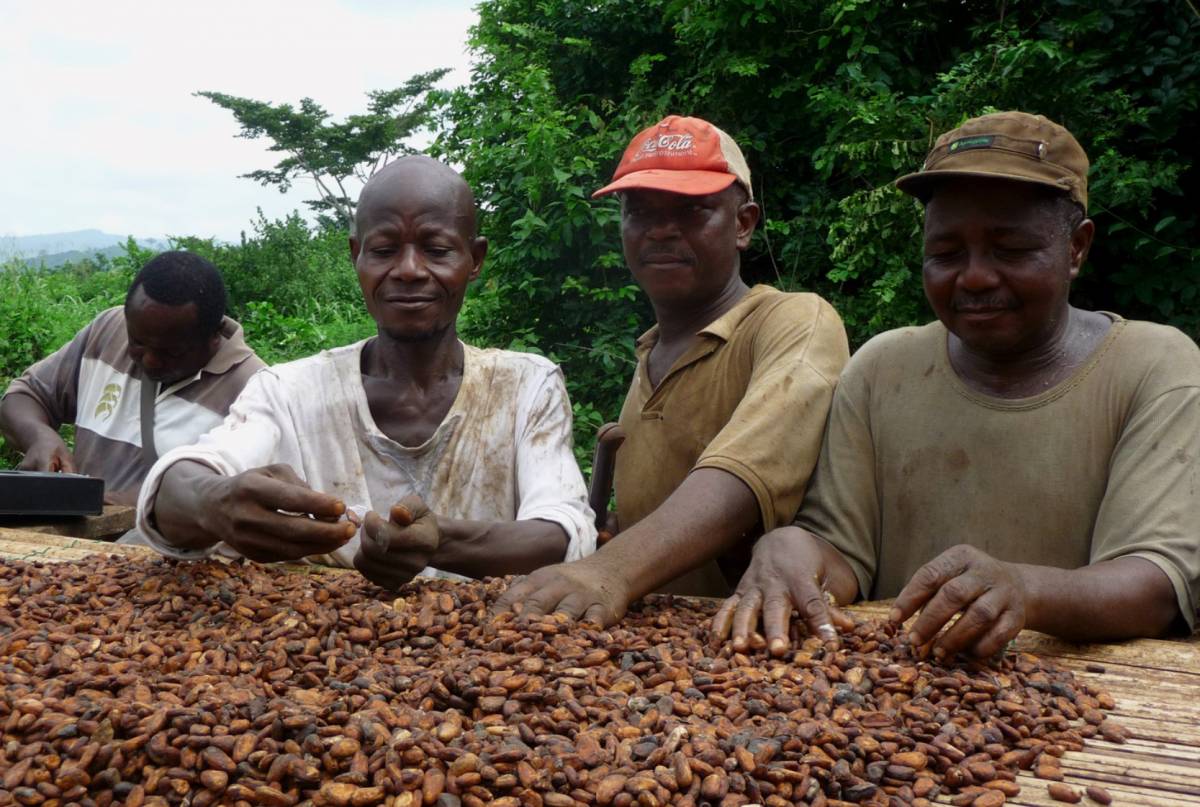 Come diventare il colosso del cacao in soli due anni