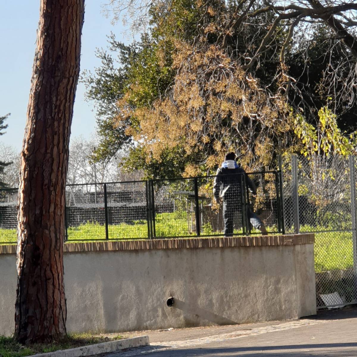 "Ho avuto paura di morire". Choc per la consigliera aggredita da un migrante a Colle Oppio