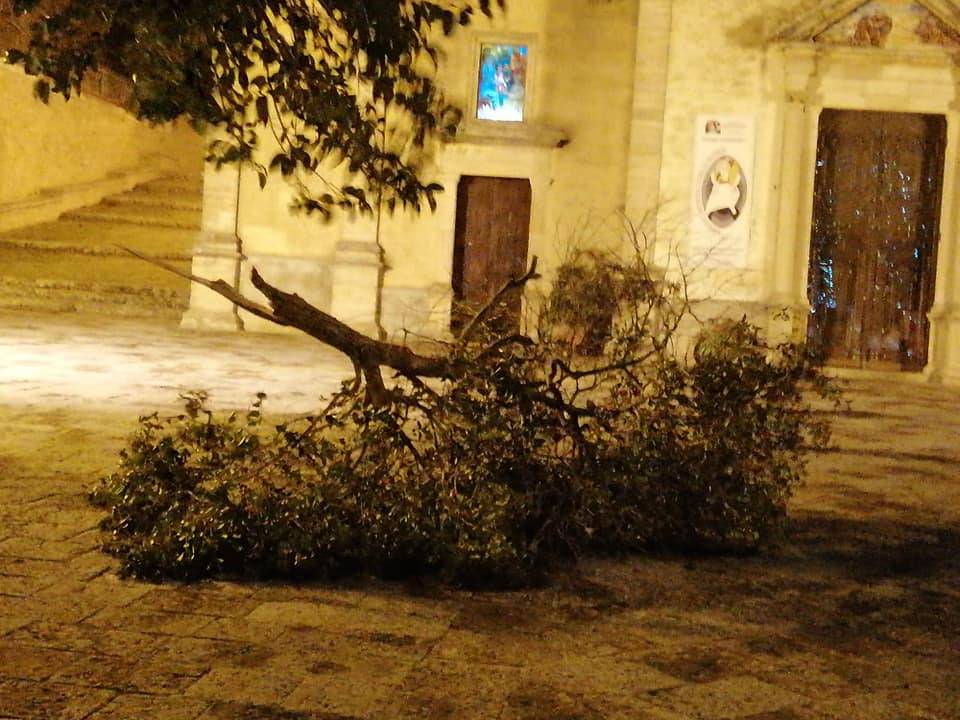 Raffiche di vento a 100 chilometri orari: danni e feriti a Palermo e provincia