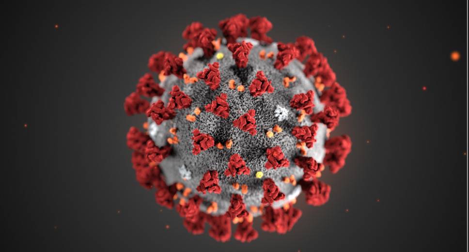 Lo Spallanzani isola il coronavirus "Si aprono spazi per cure"