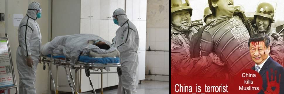 Coronavirus, gli islamici in festa: "Una punizione contro la Cina"