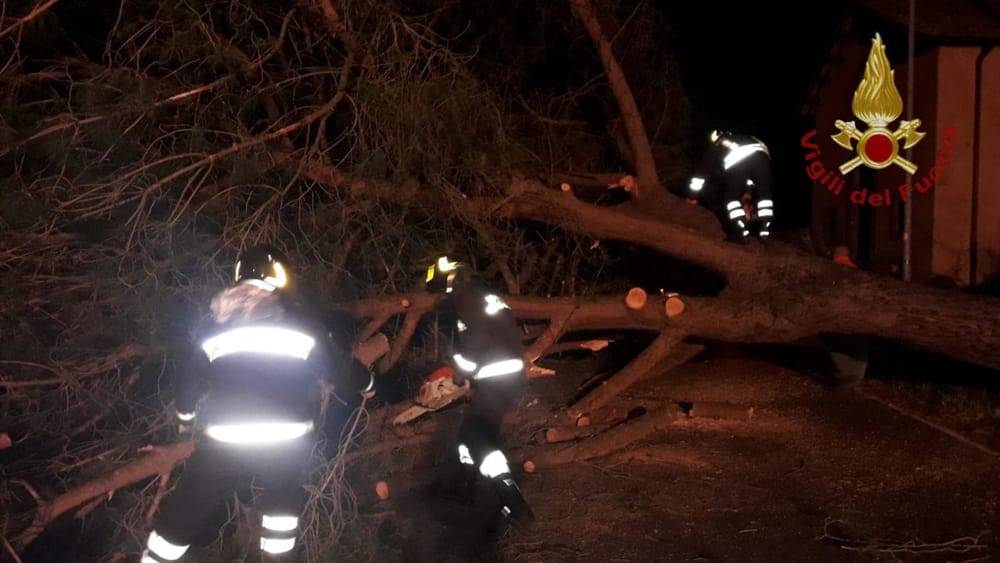 Via Aurelia, albero cade su auto in corsa: 2 feriti