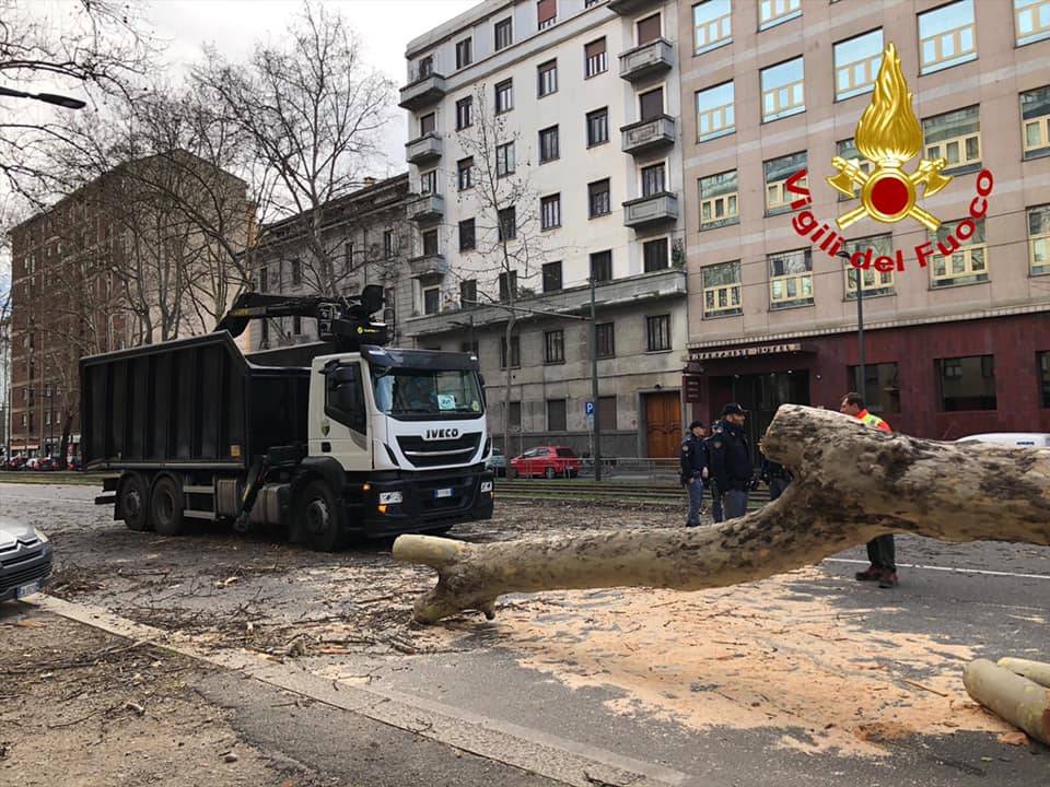 Milano, albero cade su un’auto in corso Sempione