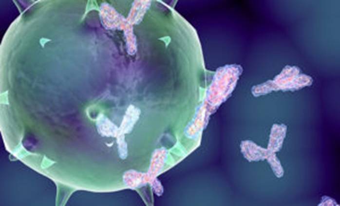 Coronavirus, possibile cura clonando gli anticorpi di chi è stato infettato