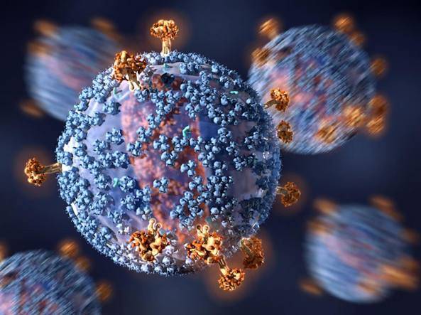 Una svolta sul Coronavirus: perché non colpisce due volte